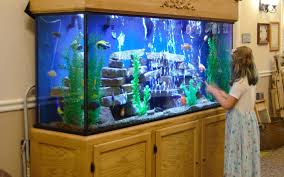 Aquarium and Bird Cage Maintenance and Sale